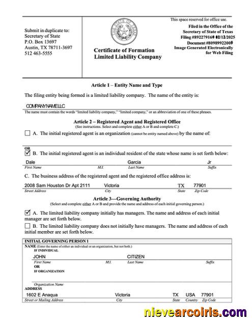 USA certificate of formation limited liability company